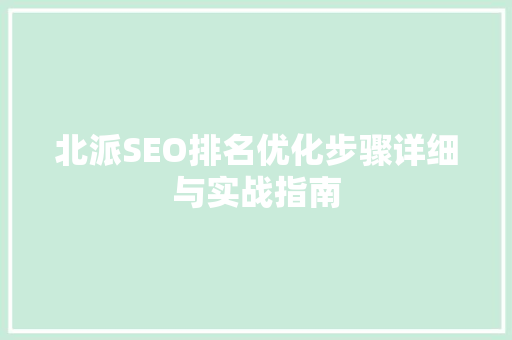 北派SEO排名优化步骤详细与实战指南