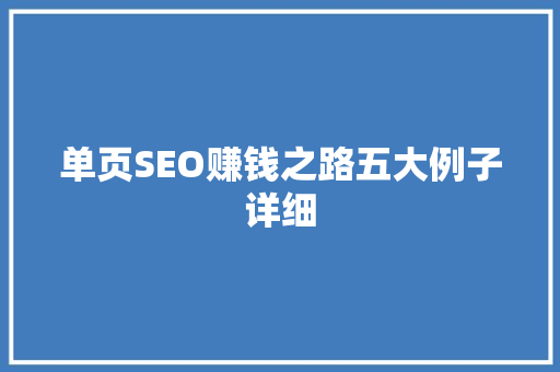 单页SEO赚钱之路五大例子详细