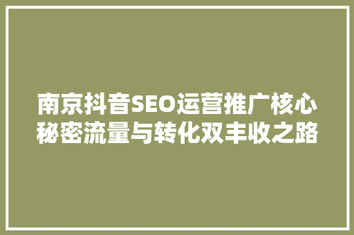 南京抖音SEO运营推广核心秘密流量与转化双丰收之路