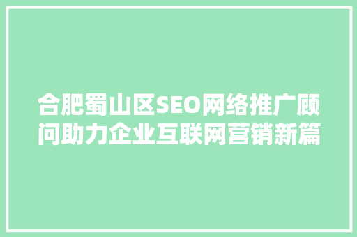 合肥蜀山区SEO网络推广顾问助力企业互联网营销新篇章