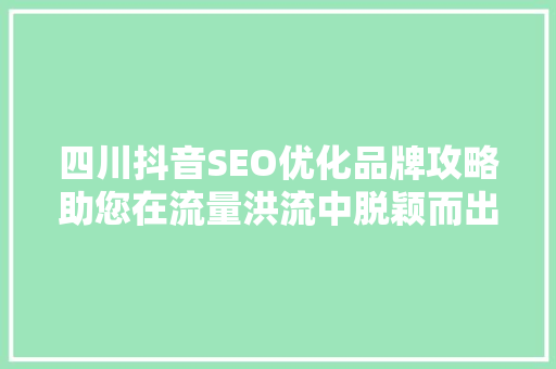 四川抖音SEO优化品牌攻略助您在流量洪流中脱颖而出