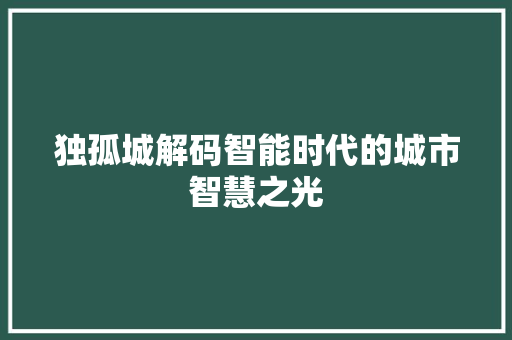 独孤城解码智能时代的城市智慧之光