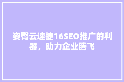 姿臀云速捷16SEO推广的利器，助力企业腾飞