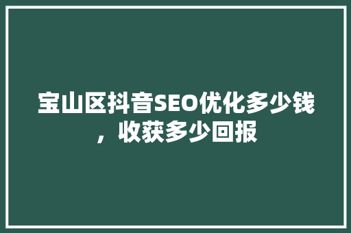 宝山区抖音SEO优化多少钱，收获多少回报