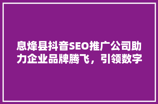 息烽县抖音SEO推广公司助力企业品牌腾飞，引领数字营销新潮流