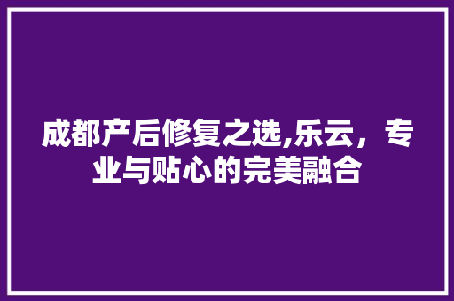 成都产后修复之选,乐云，专业与贴心的完美融合