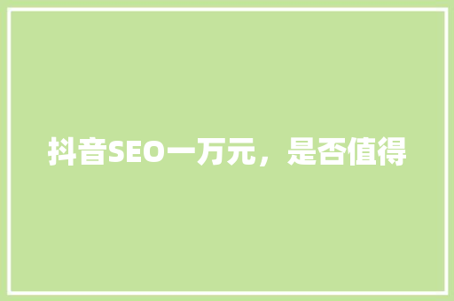 抖音SEO一万元，是否值得