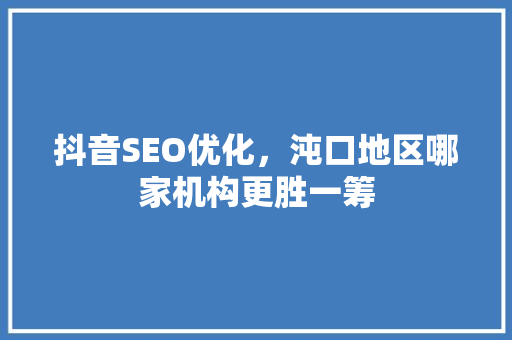 抖音SEO优化，沌口地区哪家机构更胜一筹