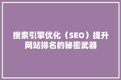 搜索引擎优化（SEO）提升网站排名的秘密武器