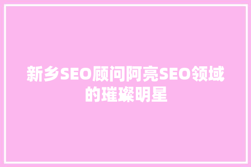 新乡SEO顾问阿亮SEO领域的璀璨明星