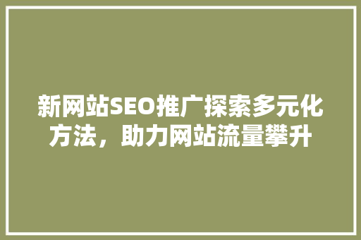 新网站SEO推广探索多元化方法，助力网站流量攀升