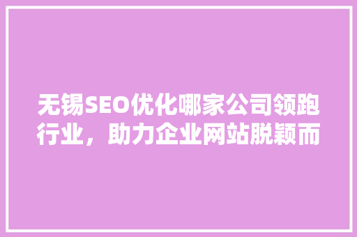 无锡SEO优化哪家公司领跑行业，助力企业网站脱颖而出