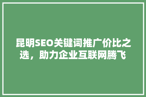 昆明SEO关键词推广价比之选，助力企业互联网腾飞