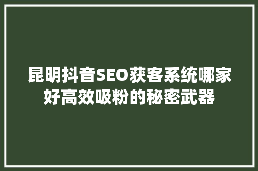 昆明抖音SEO获客系统哪家好高效吸粉的秘密武器