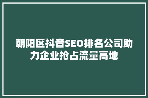 朝阳区抖音SEO排名公司助力企业抢占流量高地