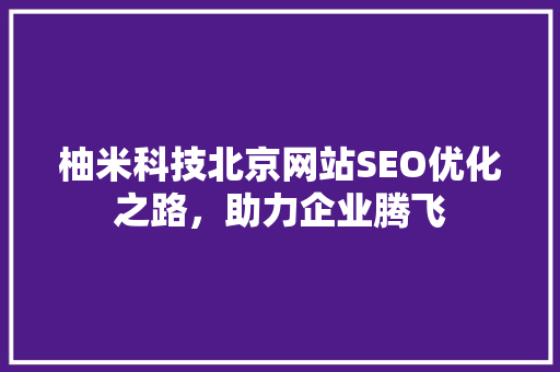柚米科技北京网站SEO优化之路，助力企业腾飞