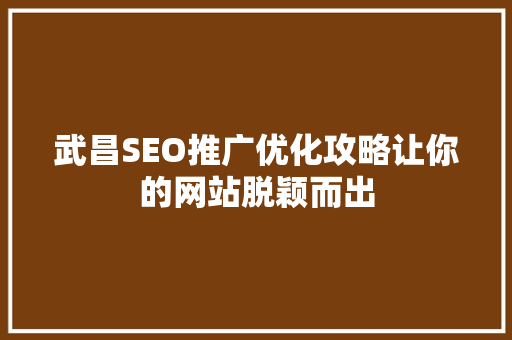 武昌SEO推广优化攻略让你的网站脱颖而出