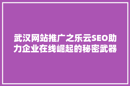 武汉网站推广之乐云SEO助力企业在线崛起的秘密武器