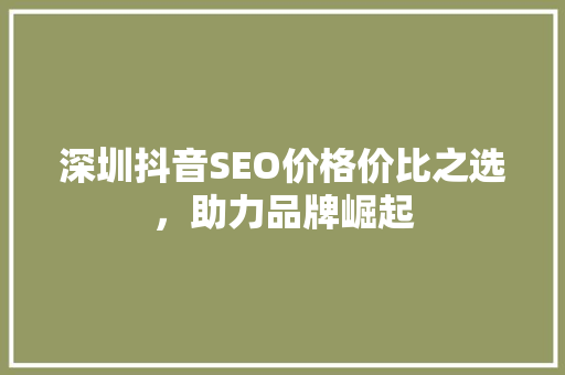 深圳抖音SEO价格价比之选，助力品牌崛起