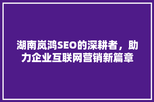 湖南岚鸿SEO的深耕者，助力企业互联网营销新篇章