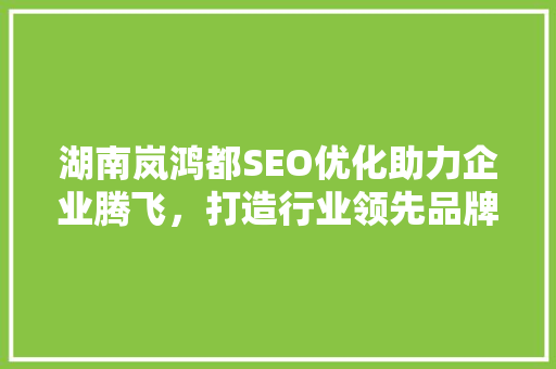 湖南岚鸿都SEO优化助力企业腾飞，打造行业领先品牌