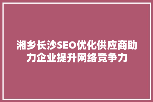 湘乡长沙SEO优化供应商助力企业提升网络竞争力