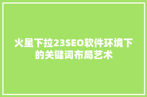火星下拉23SEO软件环境下的关键词布局艺术