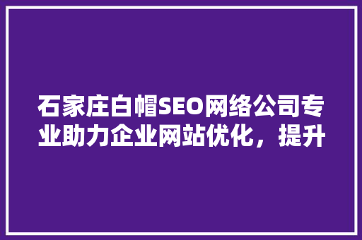 石家庄白帽SEO网络公司专业助力企业网站优化，提升网络竞争力