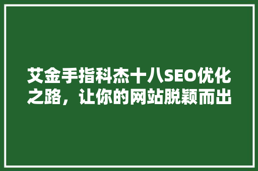 艾金手指科杰十八SEO优化之路，让你的网站脱颖而出