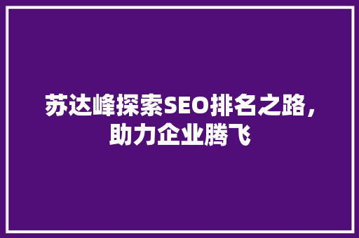 苏达峰探索SEO排名之路，助力企业腾飞