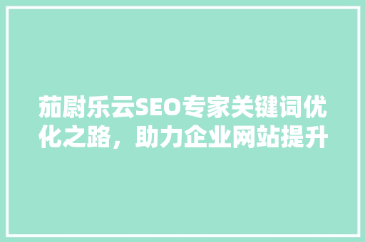 茄尉乐云SEO专家关键词优化之路，助力企业网站提升排名