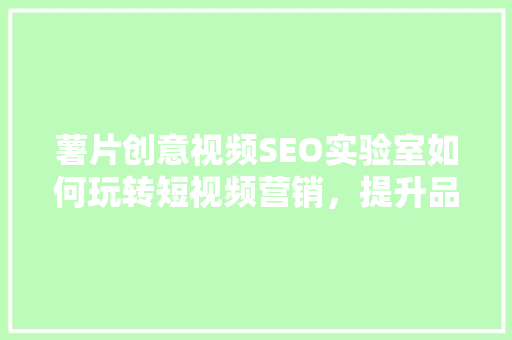 薯片创意视频SEO实验室如何玩转短视频营销，提升品牌影响力