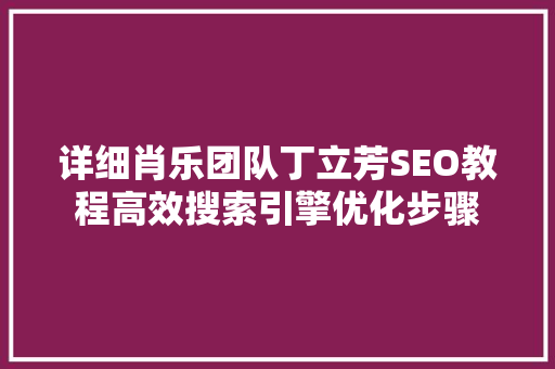 详细肖乐团队丁立芳SEO教程高效搜索引擎优化步骤