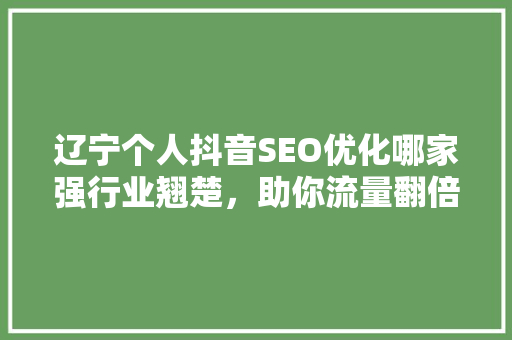 辽宁个人抖音SEO优化哪家强行业翘楚，助你流量翻倍