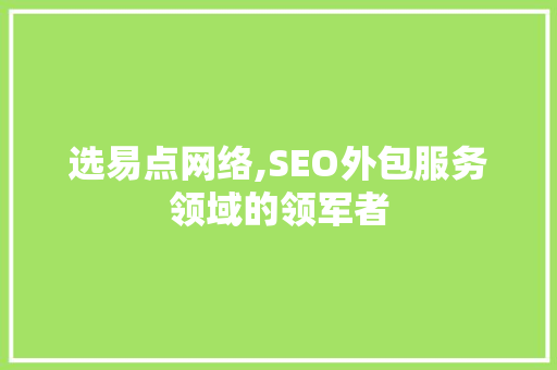 选易点网络,SEO外包服务领域的领军者