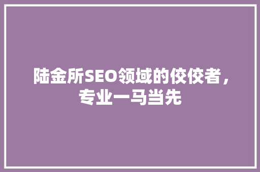 陆金所SEO领域的佼佼者，专业一马当先
