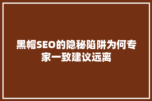 黑帽SEO的隐秘陷阱为何专家一致建议远离
