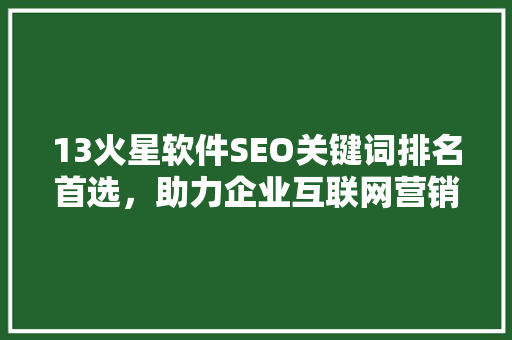 13火星软件SEO关键词排名首选，助力企业互联网营销新高度