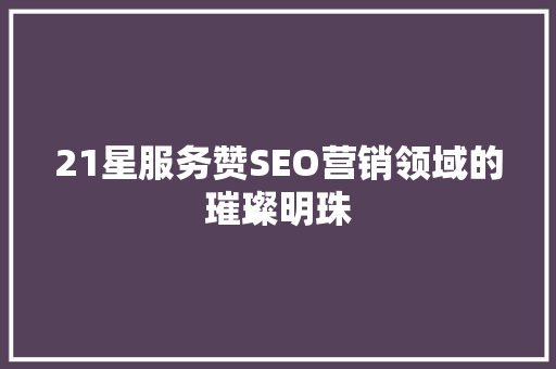 21星服务赞SEO营销领域的璀璨明珠  第1张