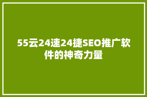 55云24速24捷SEO推广软件的神奇力量