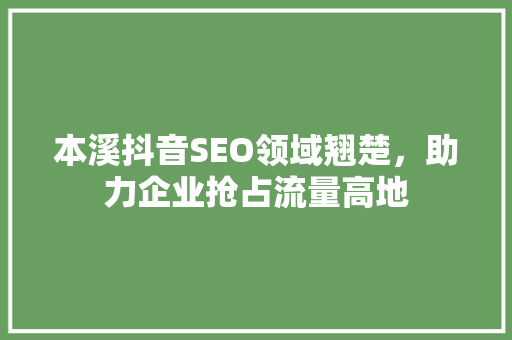 本溪抖音SEO领域翘楚，助力企业抢占流量高地
