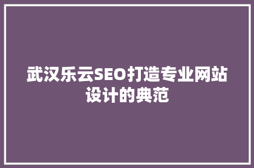 武汉乐云SEO打造专业网站设计的典范