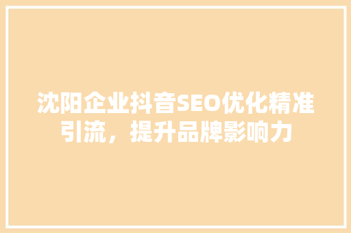 沈阳企业抖音SEO优化精准引流，提升品牌影响力