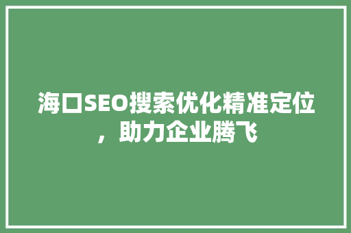 海口SEO搜索优化精准定位，助力企业腾飞
