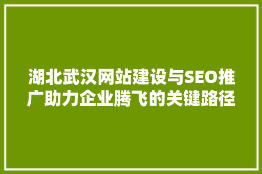 湖北武汉网站建设与SEO推广助力企业腾飞的关键路径