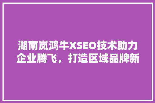 湖南岚鸿牛XSEO技术助力企业腾飞，打造区域品牌新标杆