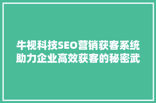 牛视科技SEO营销获客系统助力企业高效获客的秘密武器
