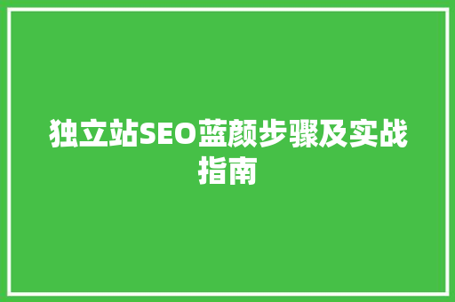 独立站SEO蓝颜步骤及实战指南