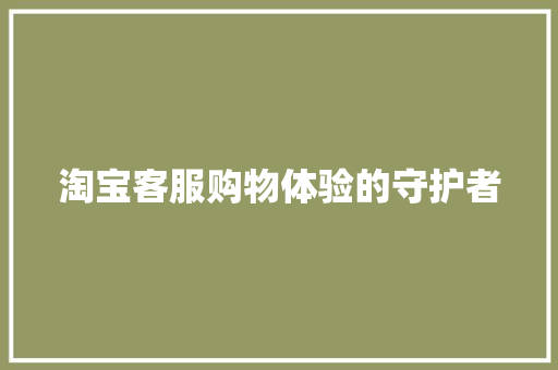 淘宝客服购物体验的守护者