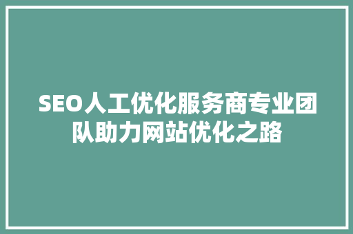 SEO人工优化服务商专业团队助力网站优化之路